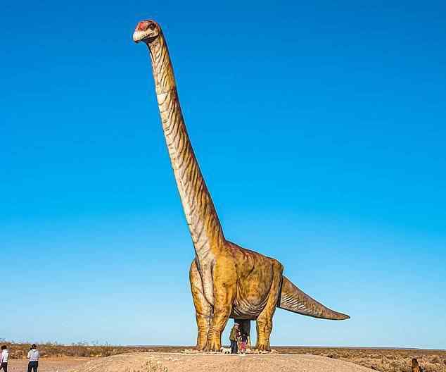 最大的恐龙化石 阿根廷出土9800万年前恐龙化石，或为史上最大陆生动物