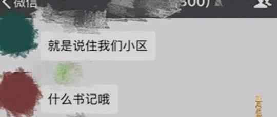 严 “严书记”痛哭忏悔谈前妻：我没控制权欲，前妻才那么跋扈，觉得后头有我支撑