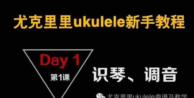 尤克里里调音器 尤克里里新手入门第一课识琴调音