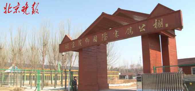 北京信鸽公棚 北京园博园新建信鸽公棚可供寄养 有专业人员培训清理