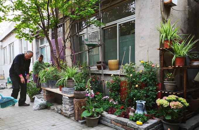 国美天空 北京朝阳门街道史家社区四合院 美院师生进胡同当花匠啦