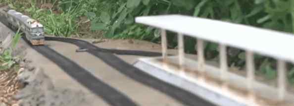 大学生在自家菜地里建微型高铁 能像真实火车一样变轨
