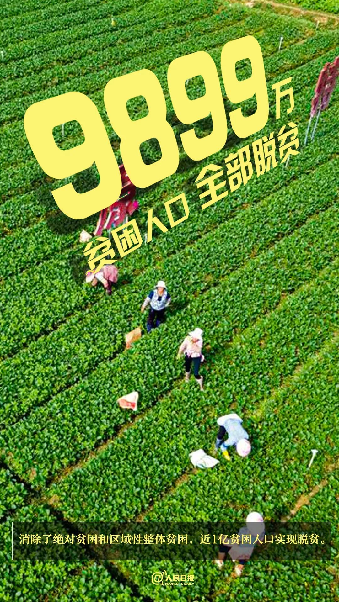 全国脱贫攻坚总结表彰大会今日举行 这组数字告诉你脱贫攻坚中国有多拼文章配图