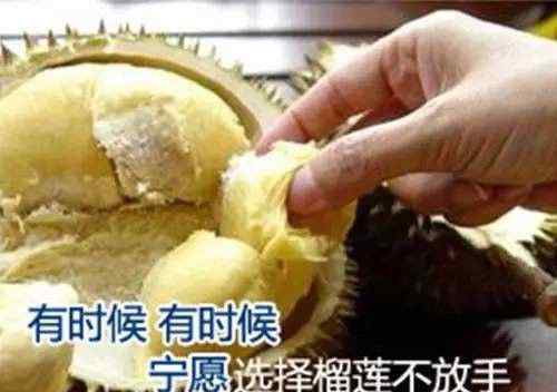 节操碎一地 那些年我们听错的歌词，节操碎一地文章配图