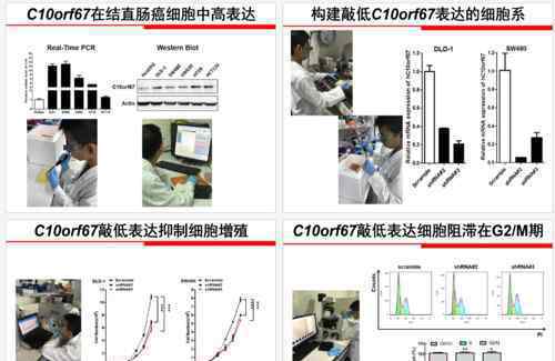 小学生研究癌症治疗获全国奖 实验中不懂"基因"是啥