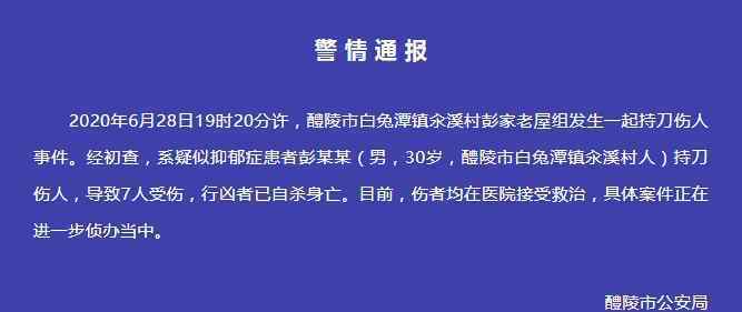 湖南一男子持刀伤7人后自杀身亡 警方：疑患抑郁症