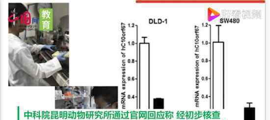 官方回应小学生研究基因获奖 确认是研究员之子