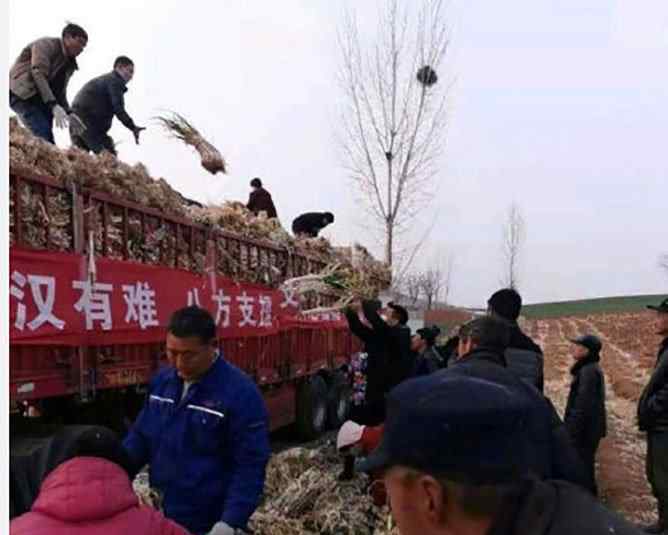 汶川村民自发支援武汉100吨蔬菜 网友：汶川人民太给力