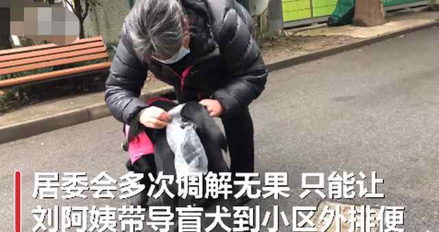 视障阿姨因导盲犬排尿被邻居投诉2年 居委会多次调解无果 事情的详情始末是怎么样了！