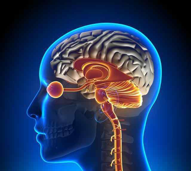 脑梗前兆是什么症状 脑梗病人病情加重的前兆是什么？八大先兆症状