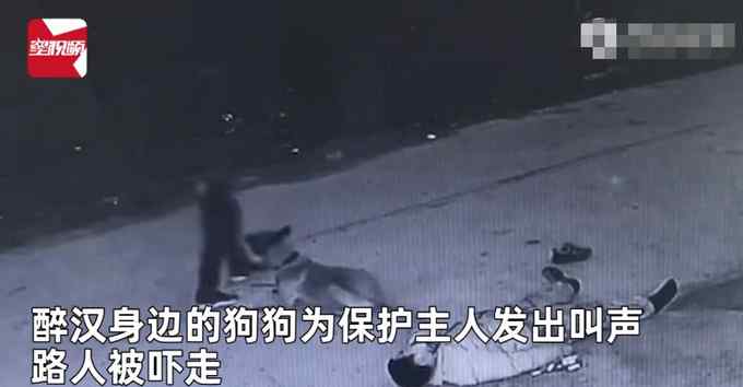 主人醉倒路边宠物狗忠心死守身旁！连声吼叫求救 路人却反被吓跑