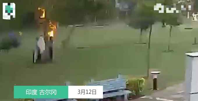 画面曝光！印度4名男子树下避雨遭闪电击中 瞬间倒地不起