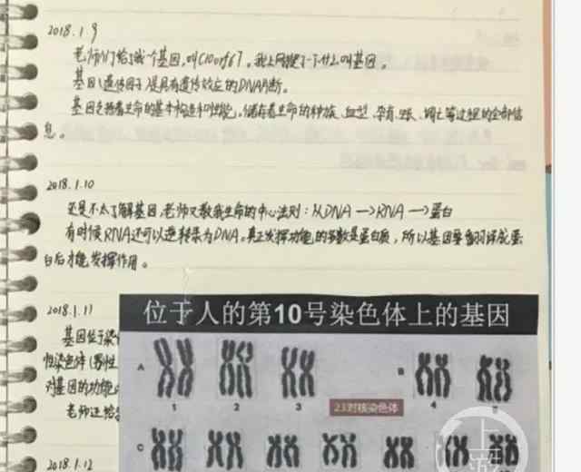 小学生研究基因获全国大奖引质疑 为什么会引质疑