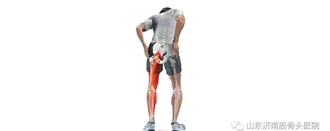 大腿内侧疼痛怎么回事 股骨头坏死为什么大腿内侧会疼痛