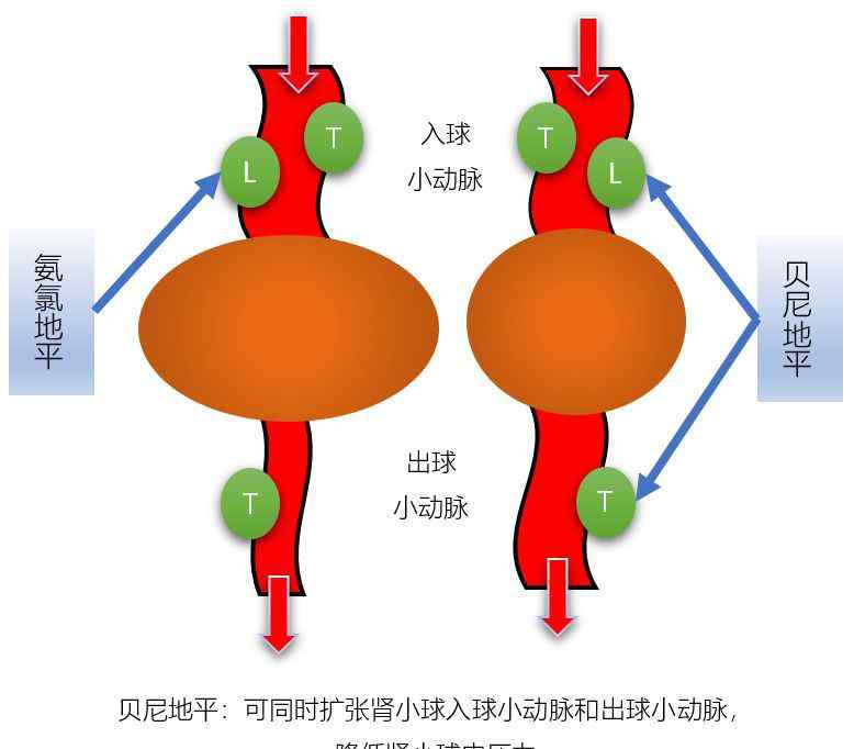 氨氯地平 贝尼地平，与氨氯地平的区别（新）