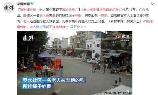 老人被狗绳绊倒摔地后身亡 警方已介入调查中