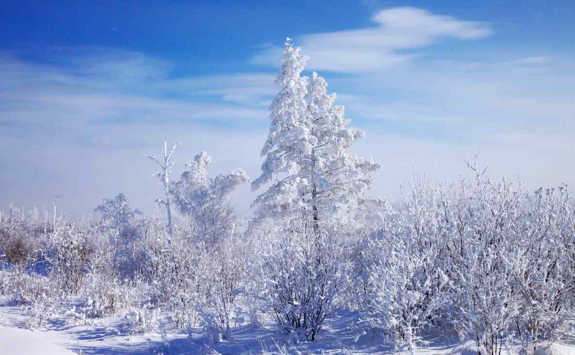 秦岭太白山雪后雾凇美景 雾凇是怎样形成的