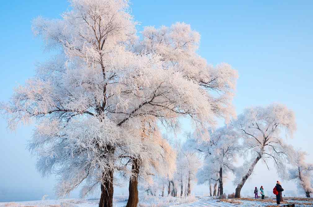 秦岭太白山雪后雾凇美景 雾凇是怎样形成的