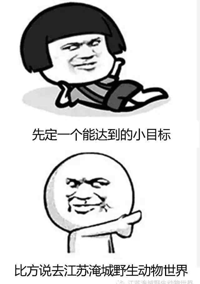 淹城野生动物园 这个秋天，强烈安利淹城野生动物园文章配图