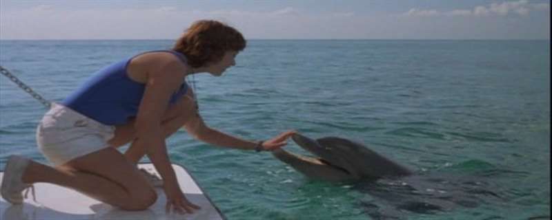 海豚救狗狗的电影叫什么名字