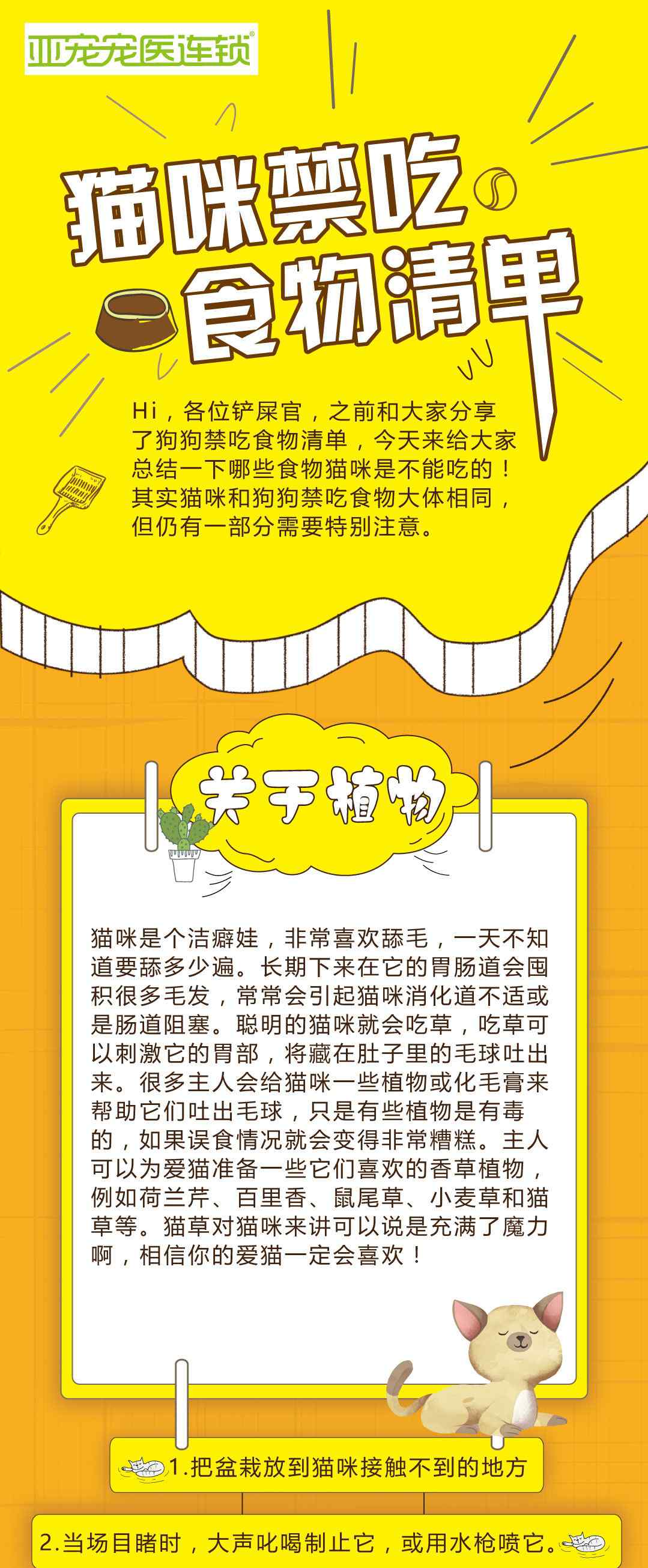 重庆圣心宠物医院 猫咪禁吃的食物清单文章配图