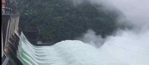 千岛湖首次9孔全开泄洪 事件的真相是什么？