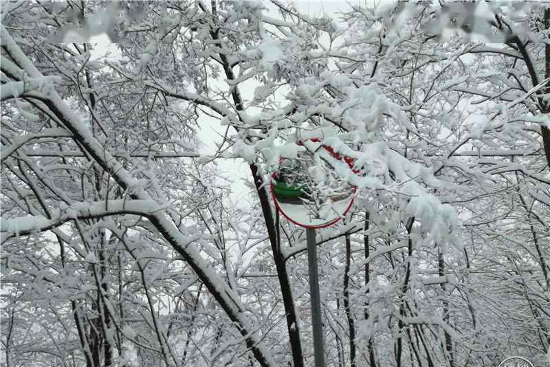 甘肃天水四月飞雪 这意味着什么?