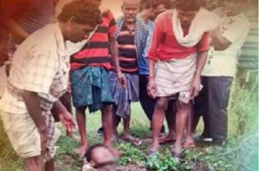 印度3名村民遭雷击后被埋入牛粪治疗 究竟是怎么一回事?