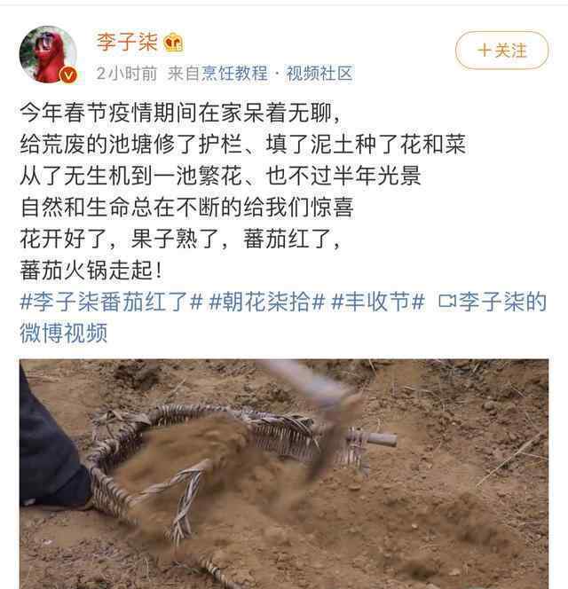 李子柒番茄红了是怎么回事？ 李子柒是谁？盘点那些被李子柒带火的产品