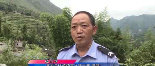 民警为救猪跳进化粪池 背后原因令人感动