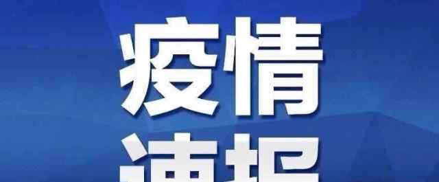 31省新增2例确诊 均为境外输入