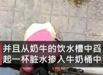 居民发现楼下商贩在挤牛奶 意外拍到令人作呕画面