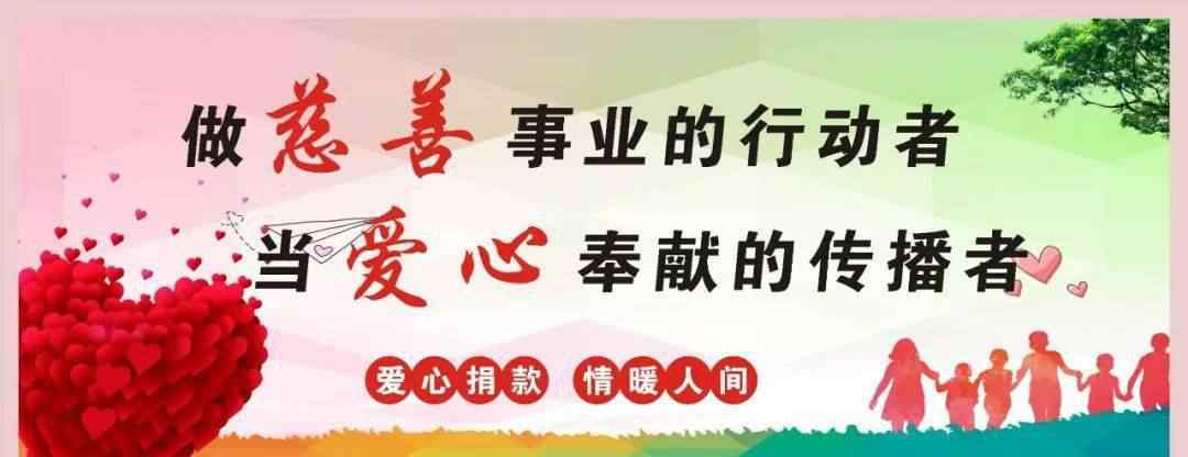 宁波伏龙同步带 4个涉及胜山的单位受到市人民政府的表彰！有你熟悉的单位吗？