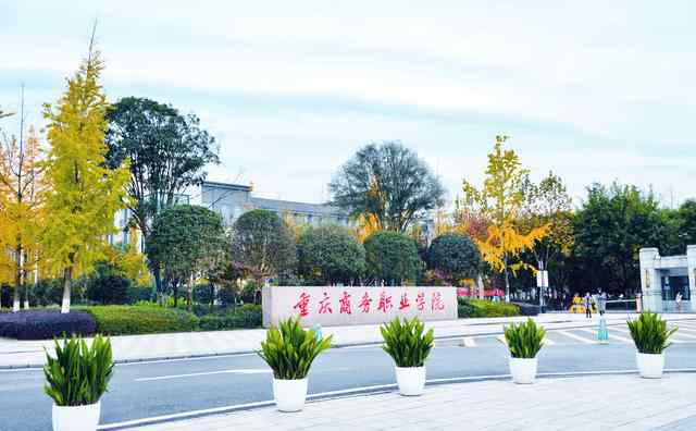 重庆商务职业学院 重庆商务职业学院数字媒体应用技术（中外合作办学）专业招生简章文章配图