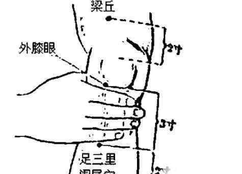 足三里的准确位置图片 足三里怎么找 足三里的准确位置图