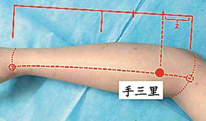 手三里的准确位置图 手三里穴在人体的哪个部位