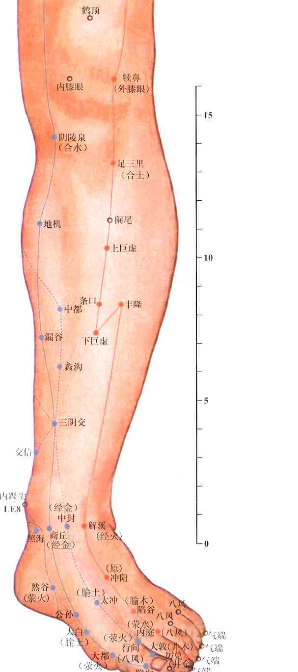 大敦的准确位置 中医详解足部5大穴位位置与功效，配穴位动图，很实用！