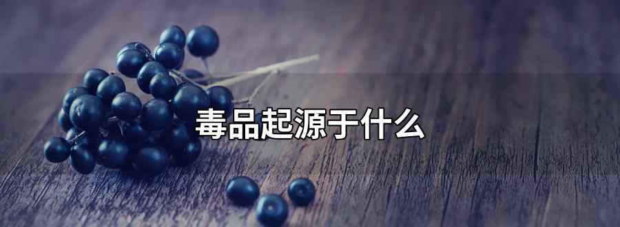 毒品起源于什么