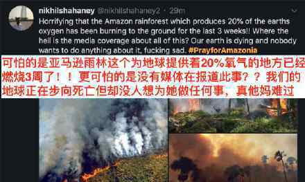 亚马孙森林大火已持续燃烧16天 具体发生什么了