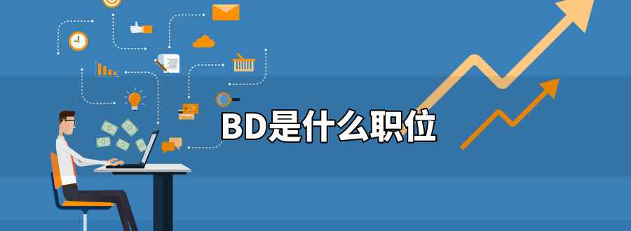 BD是什么职位