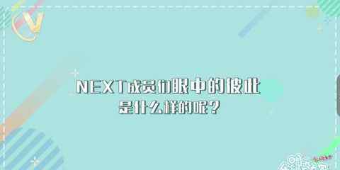 明天我们不在家在哪个app看 《明天我们不在家》第八期彩蛋来袭 看兄弟间相互评价