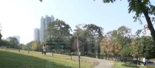 重庆一公园卫生间变身麻将室 具体是啥情况?