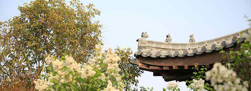 山东沂蒙山区景点介绍