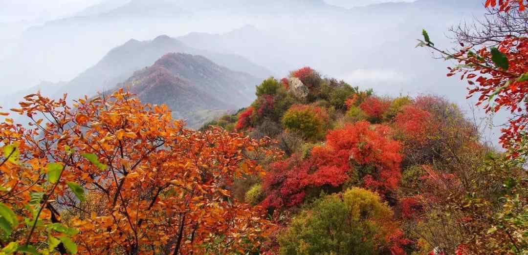 玉台寺 连这7大景点都没去过，就不能算到过新会！（附新会最全景点地图）