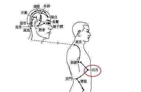 日月穴 日月穴