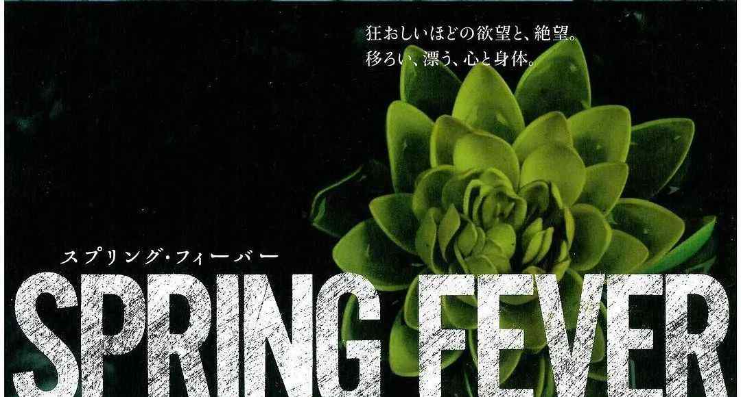 春风沉醉的晚上电影 春风沉醉的晚上，我躲进这部电影文章配图
