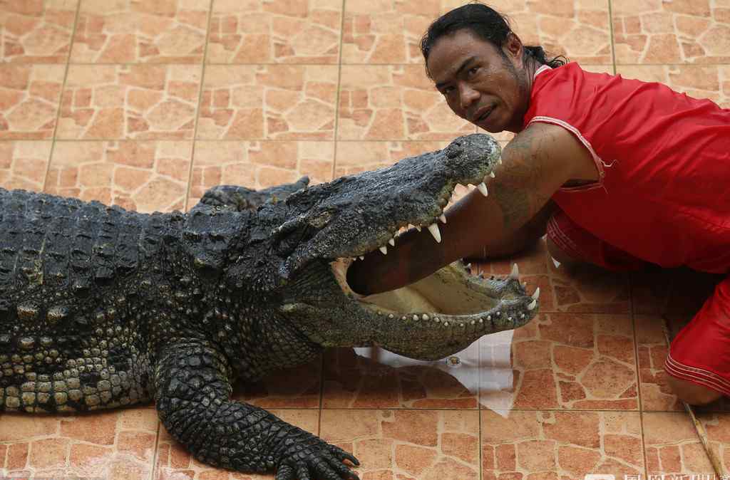 泰国猛男将头伸入鳄鱼口中