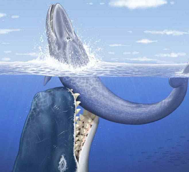 远古十大海洋凶猛巨兽排名 灭绝的恐怖海洋生物有哪些