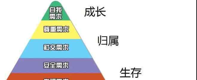 直播营销 罗永浩直播了，零售业如何借社群营销和直播提升业绩？