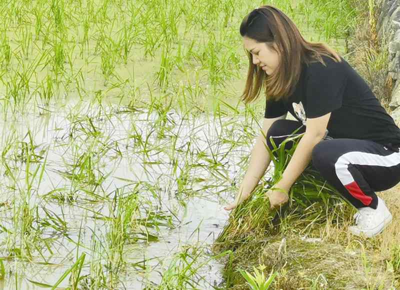 雷蕾 都市女白领雷蕾转行回乡务农：回到山里，人就“活”了